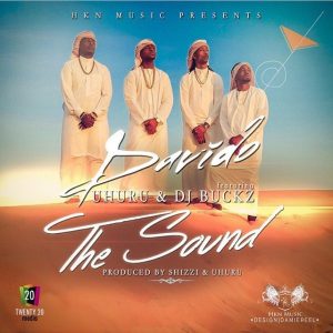 davido-the-sound