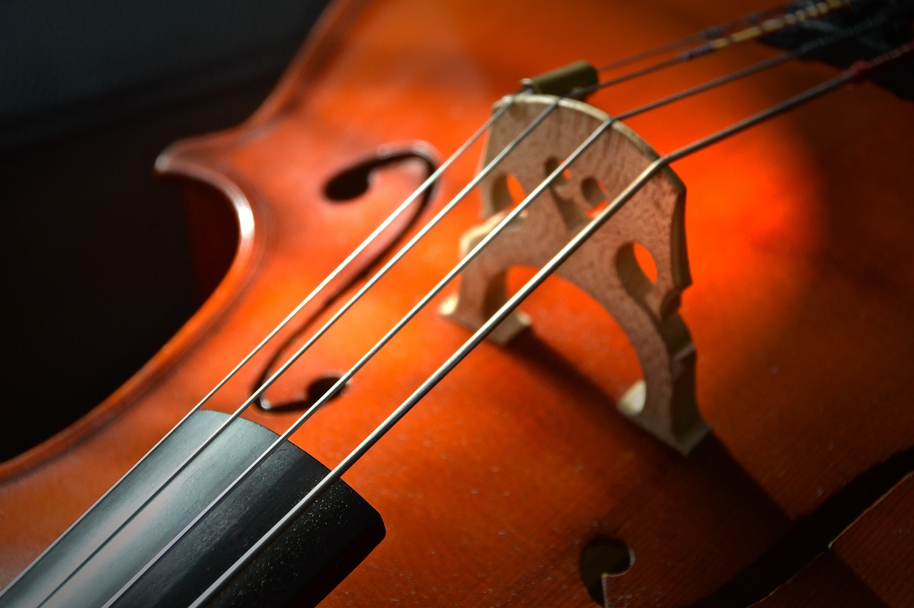 Facts You Should Know Before Buying A Cello —